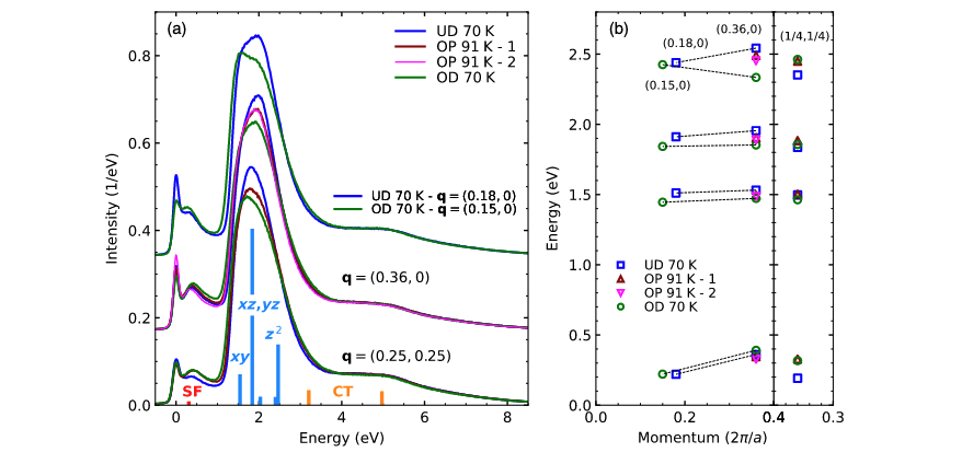 Resonant Inelastic X-Ray Scattering Study of Electron-Exciton Coupling in High-T c Cuprates